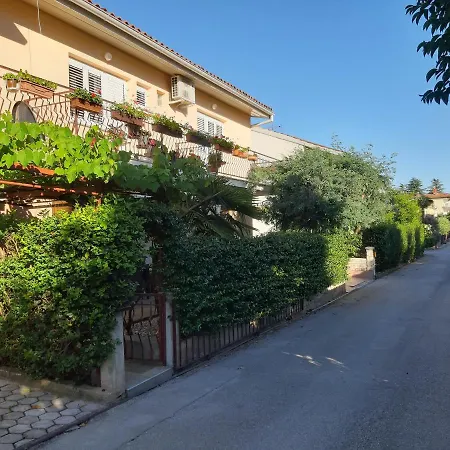 Studio Rocco Apartment Novigrad  Exterior photo