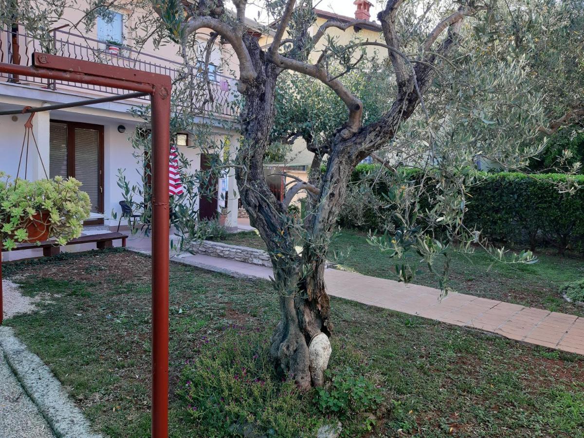 Apartment Studio Rocco